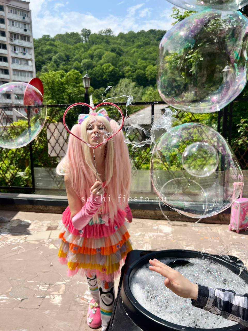 новогодняя сибирская аранжировка с хвойными ветвями кедровыми шишками и красными розами от омского флориста