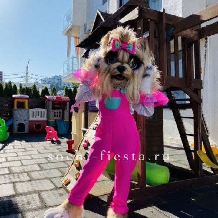 Аниматор Гламурная Собака в Омске