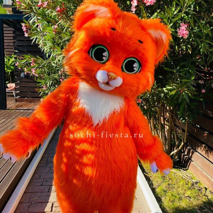 Аниматор Котик в Омске