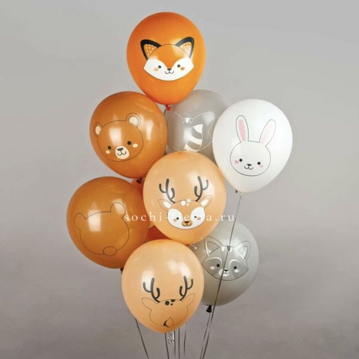 Воздушный шар "Животные" в Омске