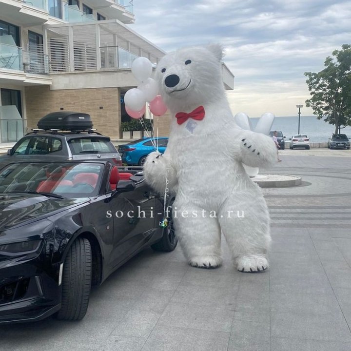 Аниматор Белый Медведь в Омске