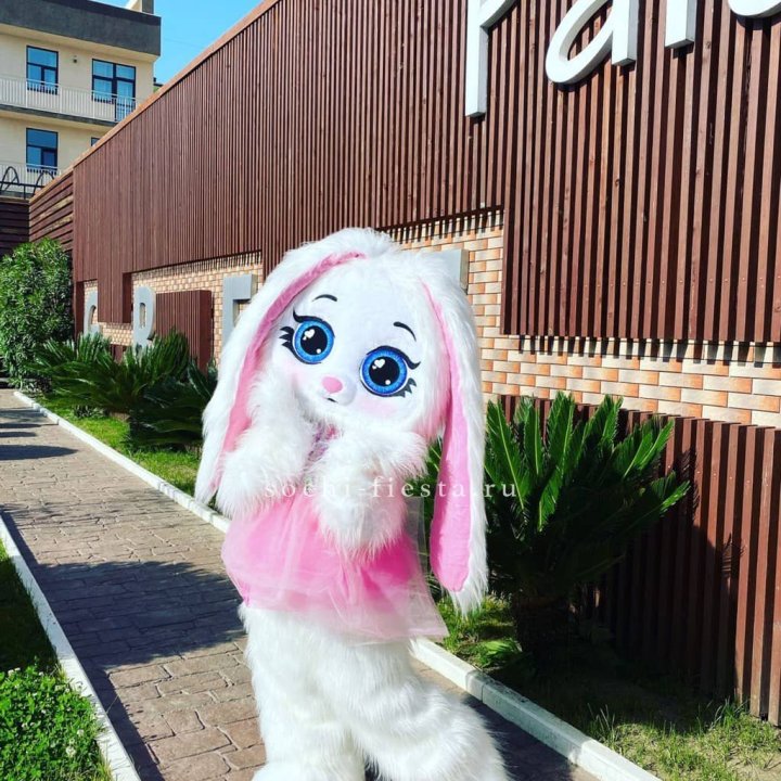 Аниматор Зайка в Омске