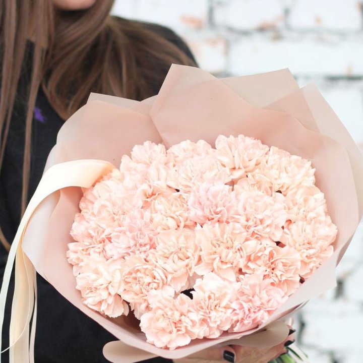 Диантусы №2 в Омске