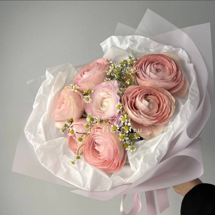 Ранункулюсы с ромашками в Омске