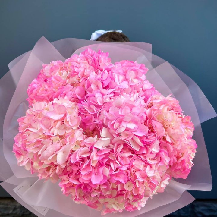 9 ярко розовых гортензий в Омске