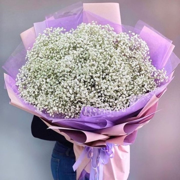 Облако белых гипсофил в Омске