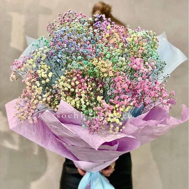 Радужные гипсофилы №2 в Омске