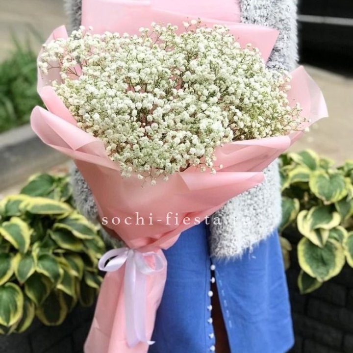 Белоснежные гипсофилы в Омске