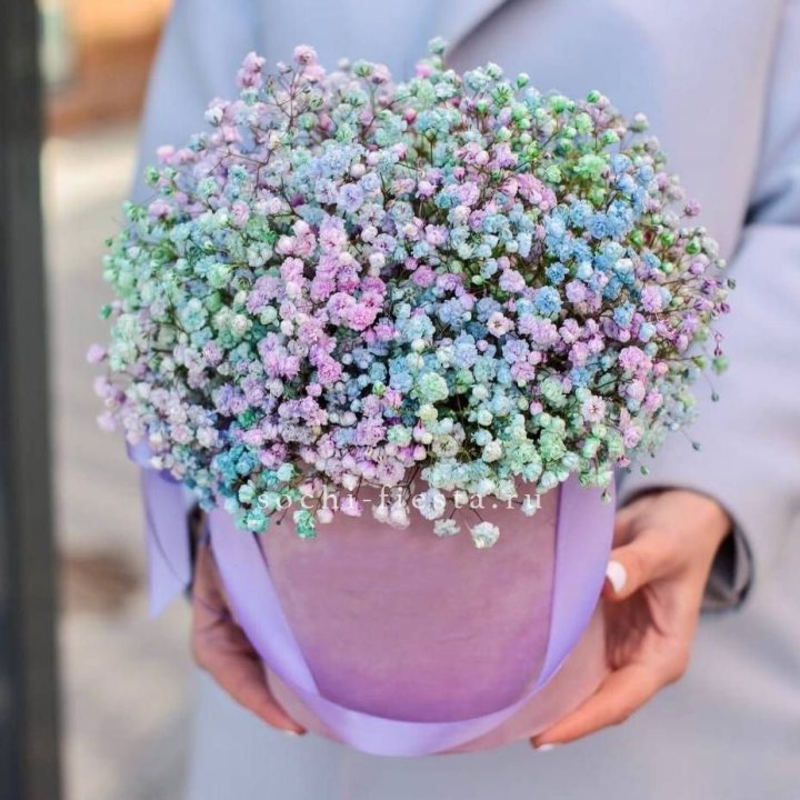 Гипсофилы в шляпной коробке "Кандилайт" в Омске