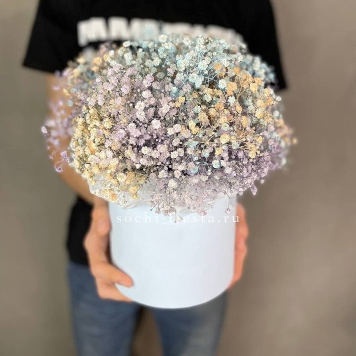 9 Радужных гипсофил в шляпной коробке в Омске