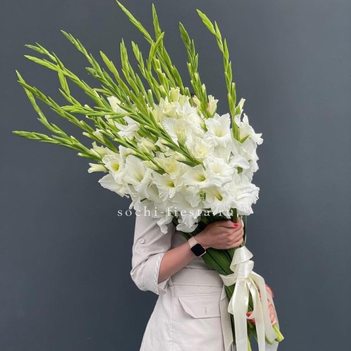 19 белых гладиолусов под ленту в Омске