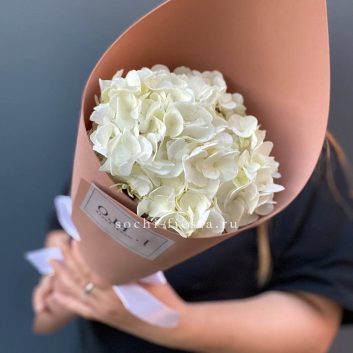 Гортензия в конверте в Омске