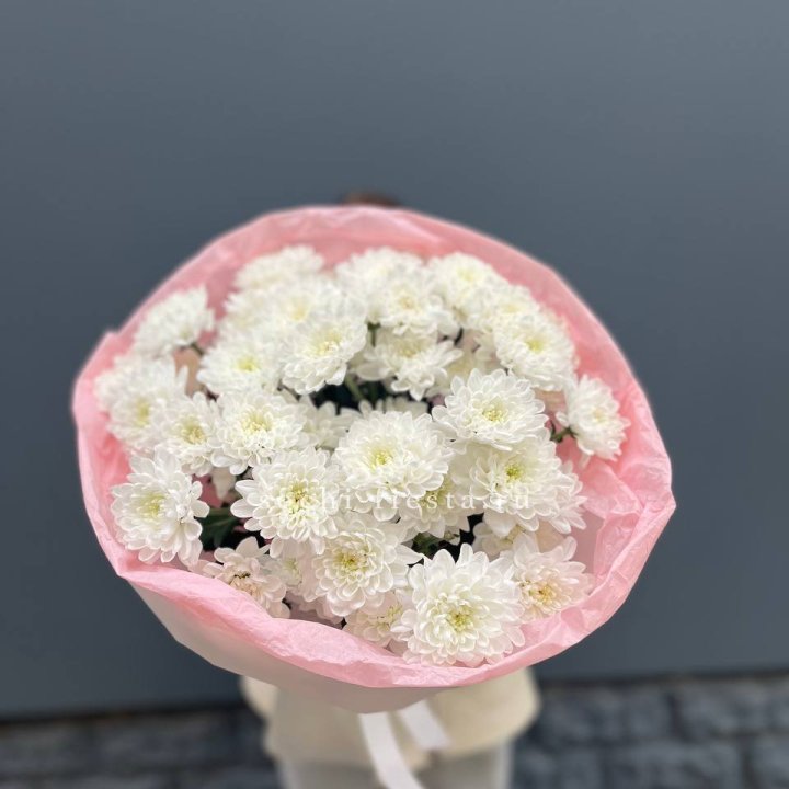  5 хризантем  в Омске