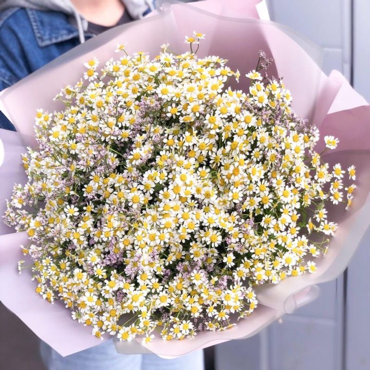 Букет ромашек №1 в Омске