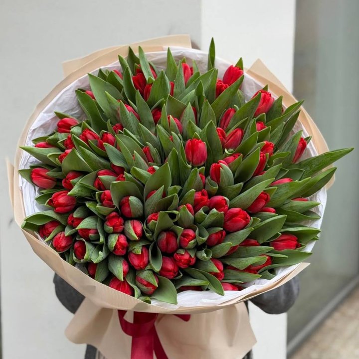 101 красный тюльпан в Омске