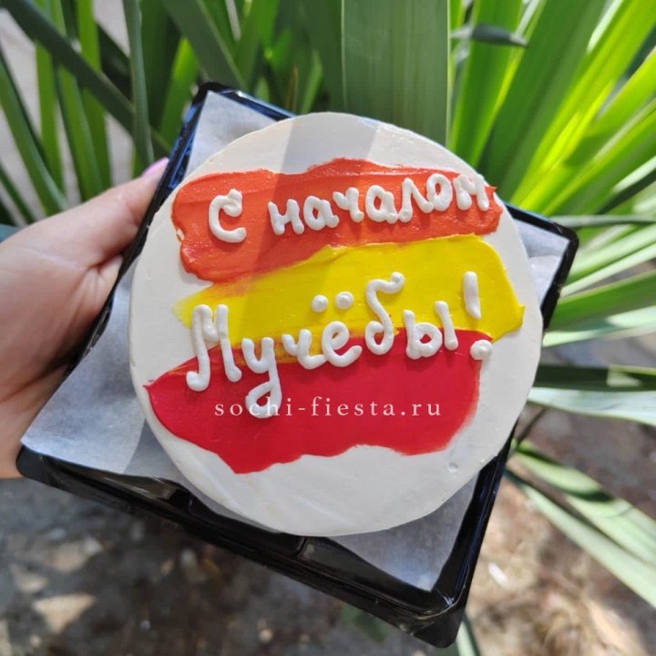 Бенто-торт "С началом учёбы"" в Омске