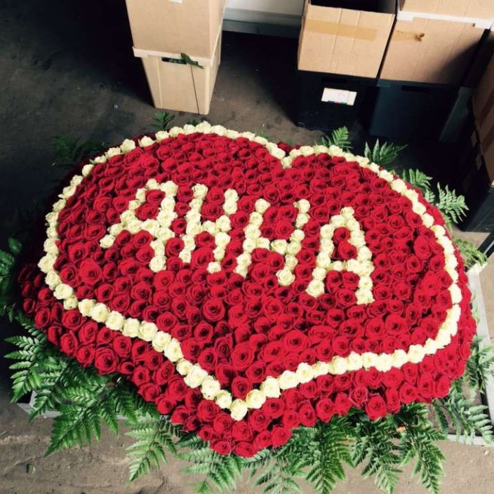 555 роз с именем в Омске