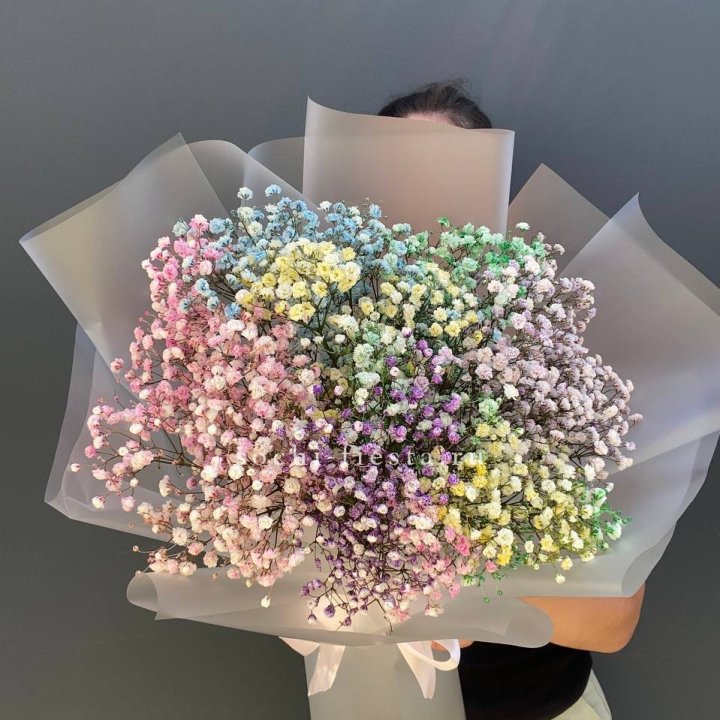 Радужные гипсофилы  в Омске