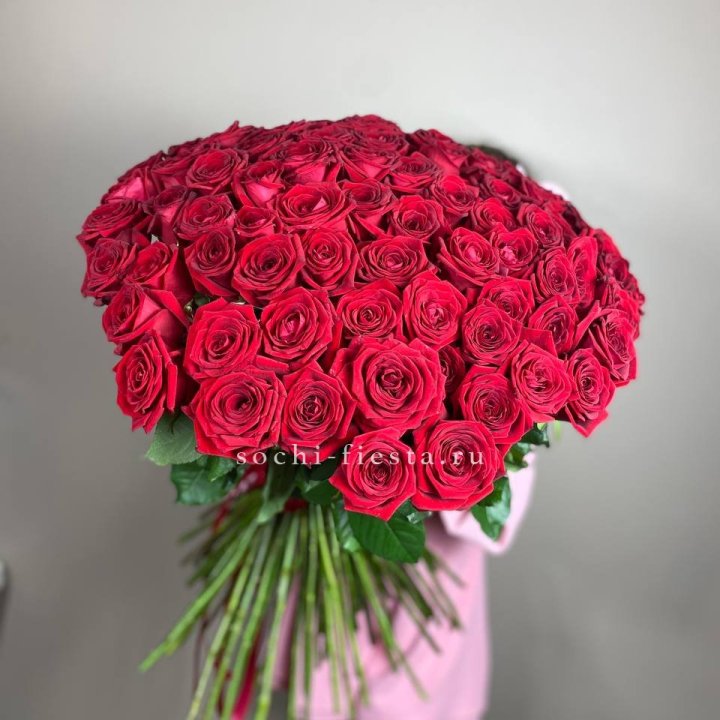 101  голландская роза  в Омске