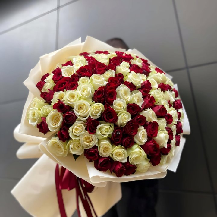 101 высокая импортная роза  в Омске