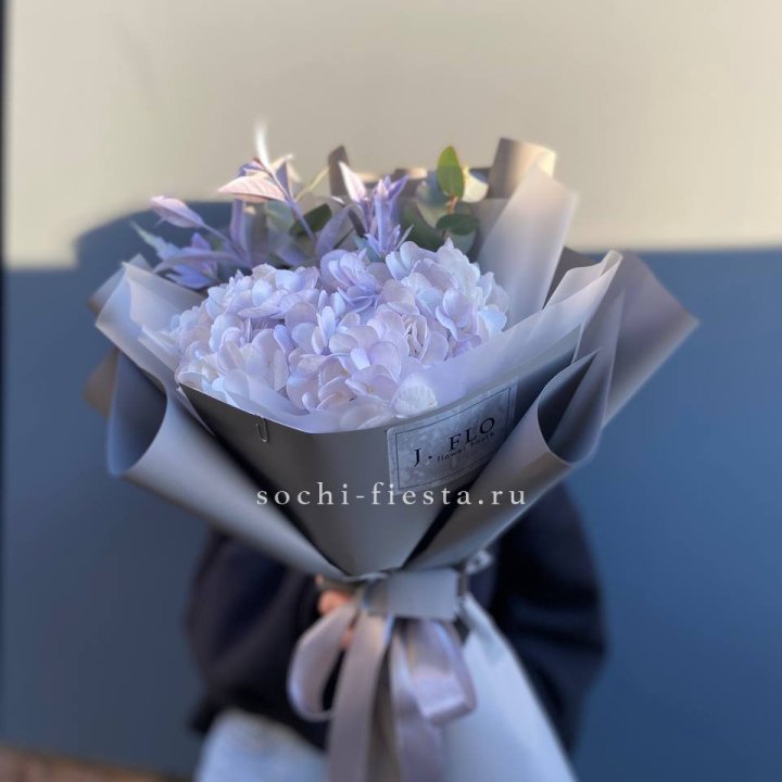 Гортензия "Виолета" в Омске