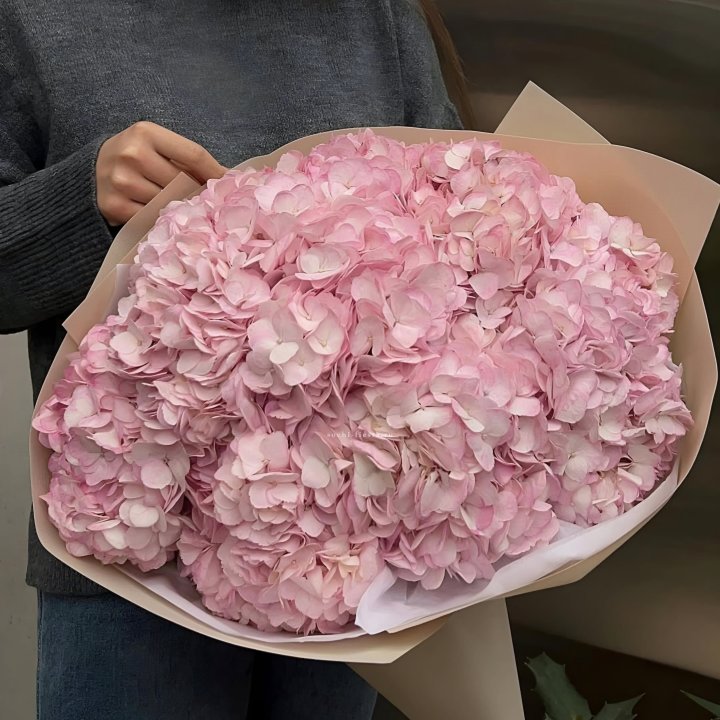 Гортензия  "РОЗЕ" в Омске