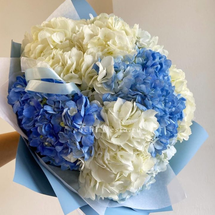 Букет гортензий "Голубая лаза" в Омске