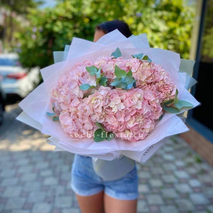5 розовых гортензий  в Омске