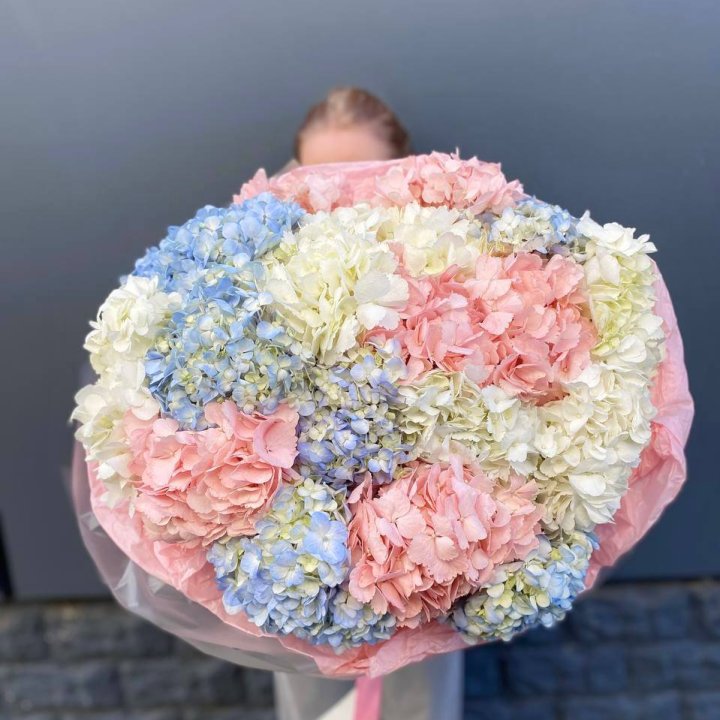 19 гортензий микс в Омске