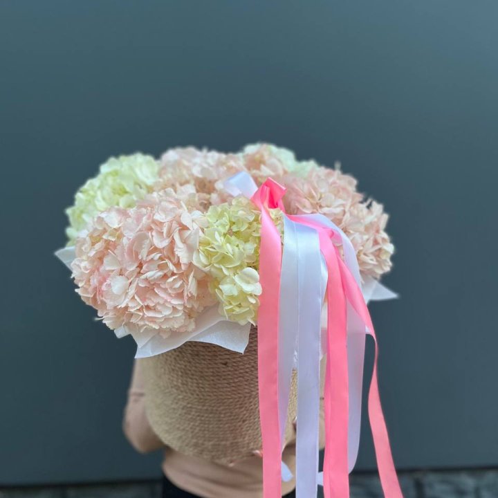 7 гортензий в кашпо в Омске