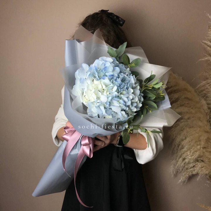 Гортензия Уно в Омске