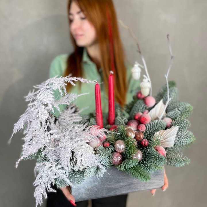 Бокс красный с нобилисом в Омске