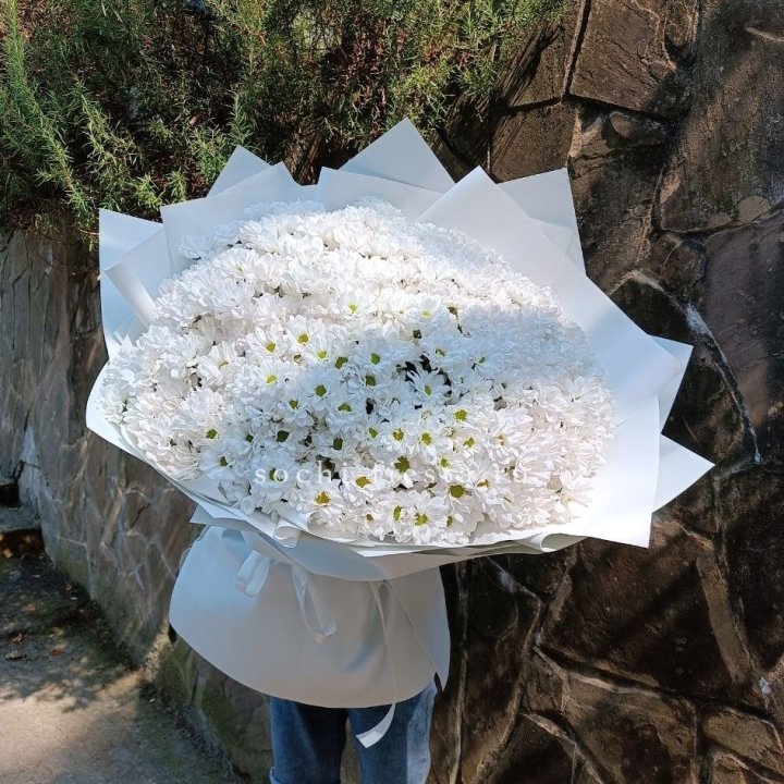 Облако хризантем №2 в Омске