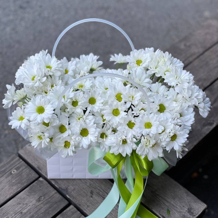 Сумка с хризантемами ромашками в Омске