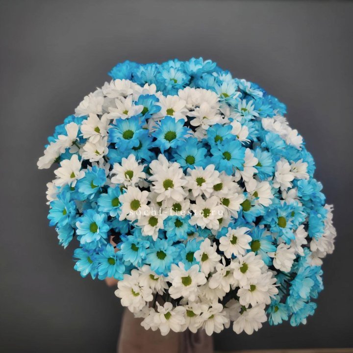  Букет хризантем микс в Омске