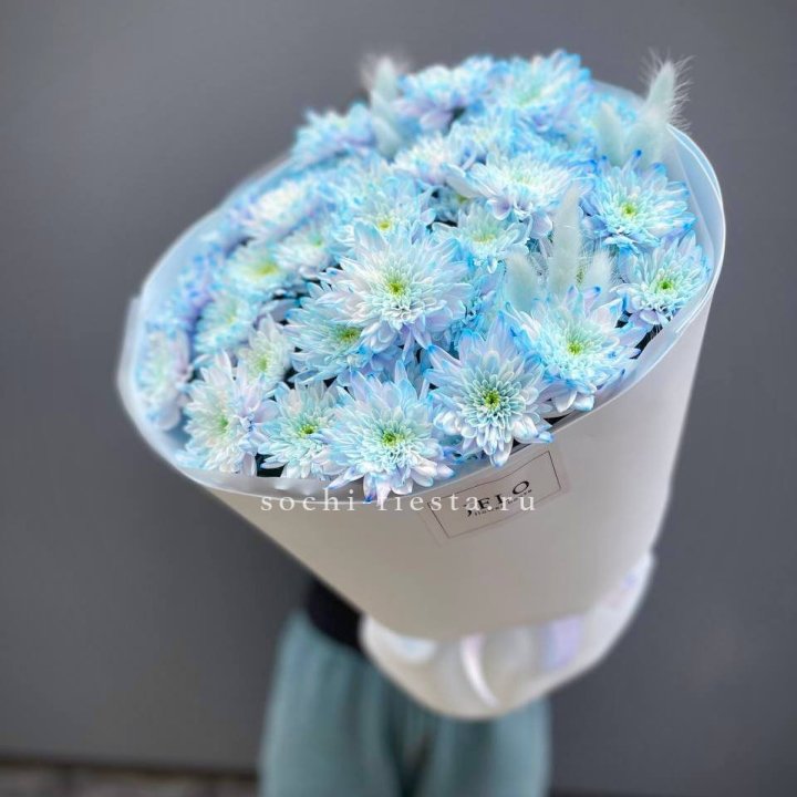  Букет нежно-голубых хризантем  в Омске