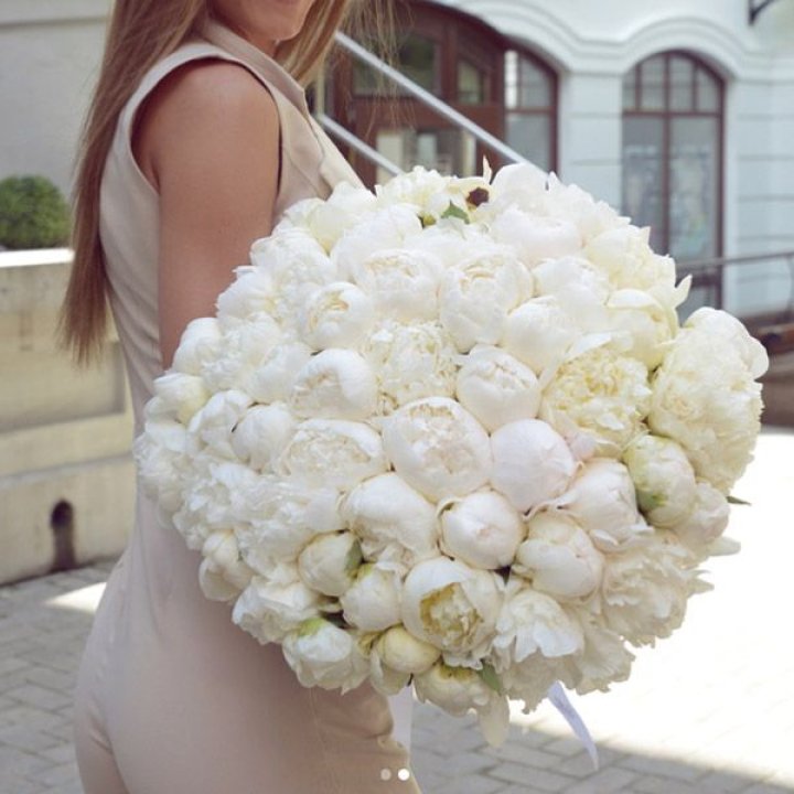 51 белый пион в Омске