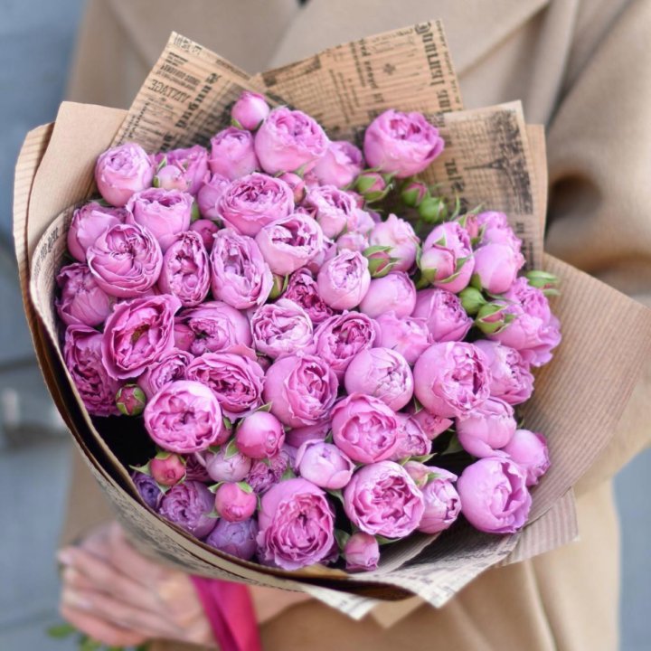 Роза Мисти Баблс в Омске