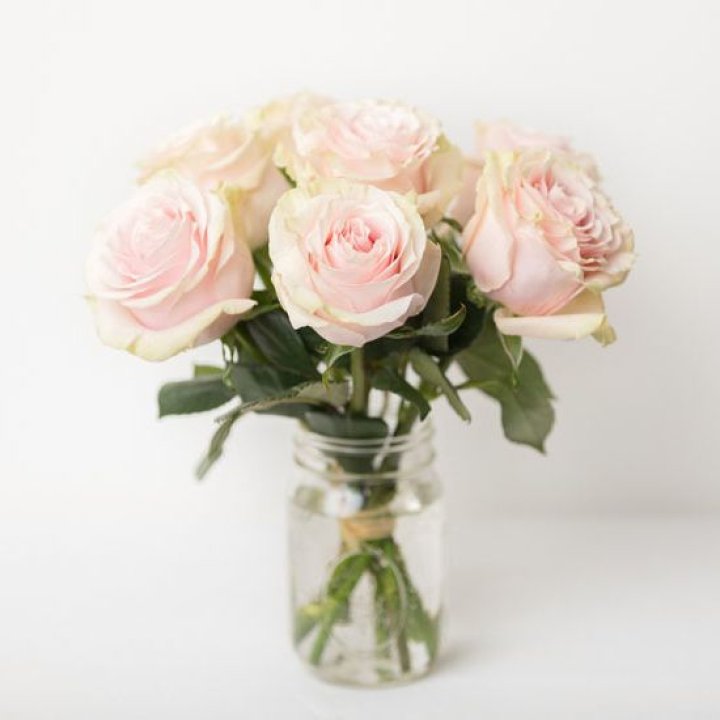 7 кремовых роз в Омске