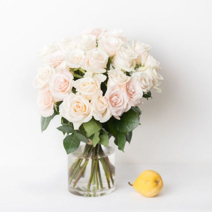 25 кремовых роз в Омске