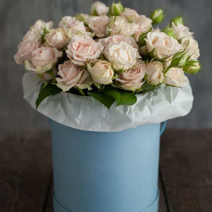 Бокс с бомбастиком в Омске