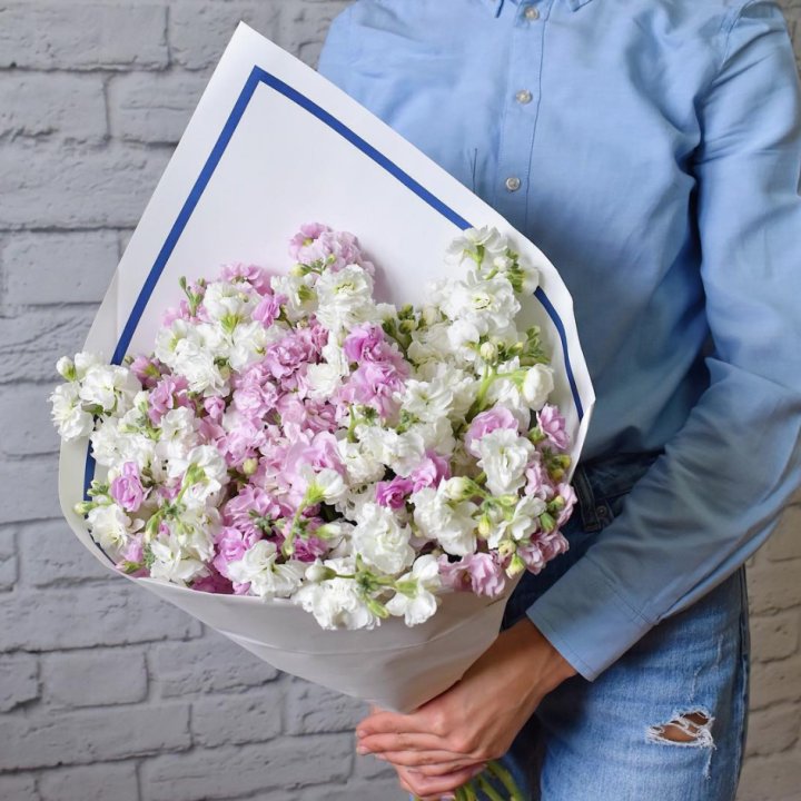 Маттиола в Омске