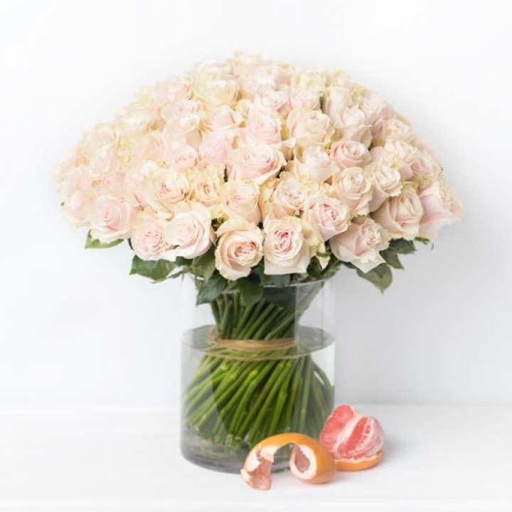 101 кремовая роза в Омске