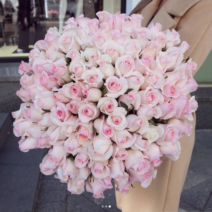 Розы "Пинк бум" в Омске