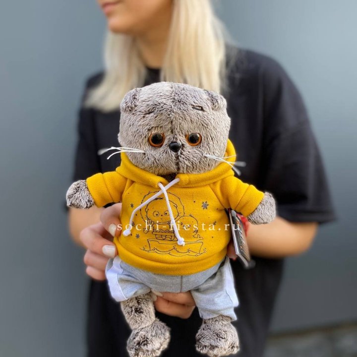 Кот Басик в худи в Омске