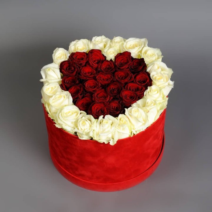 39 красных и белых роз в цилиндре в Омске