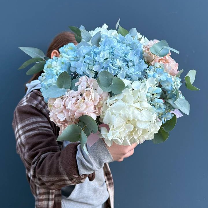 Гортензии в коробочке в Омске