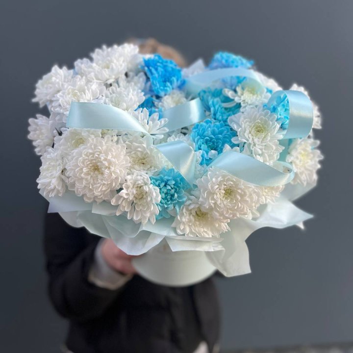 Хризнтемы в боксе в Омске