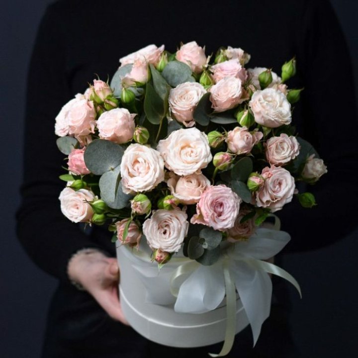 Бомбастик бокс №2 в Омске