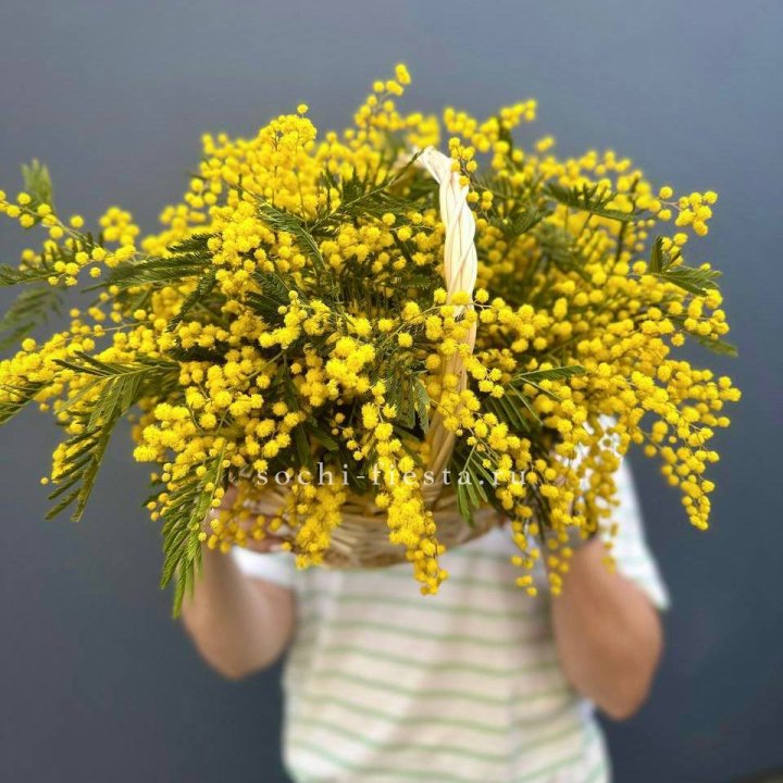 Весенняя корзина мимозы в Омске
